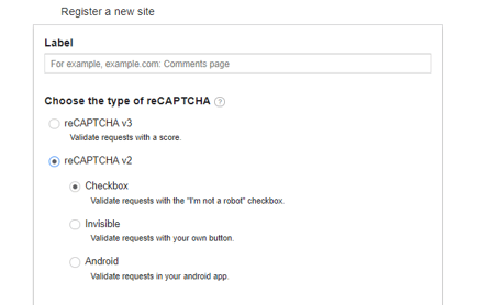 web-recpatcha google